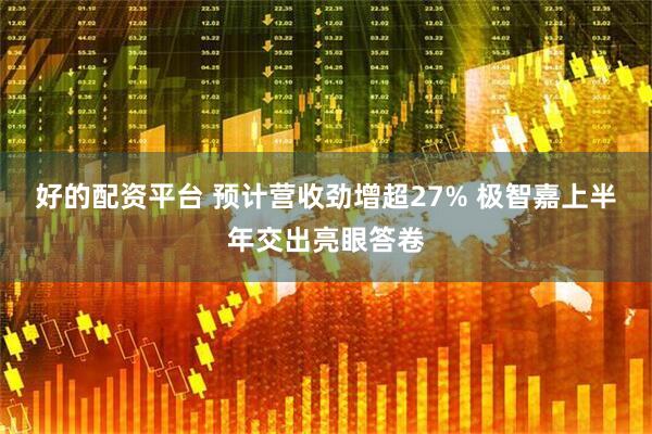 好的配资平台 预计营收劲增超27% 极智嘉上半年交出亮眼答卷