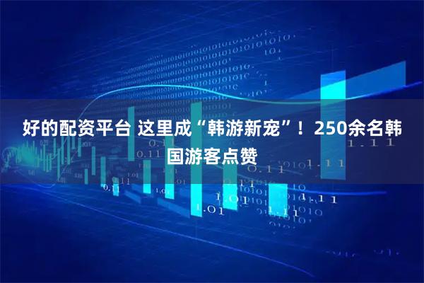 好的配资平台 这里成“韩游新宠”！250余名韩国游客点赞
